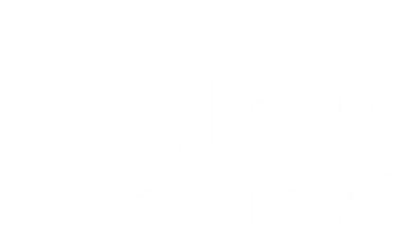 Fellow Academy